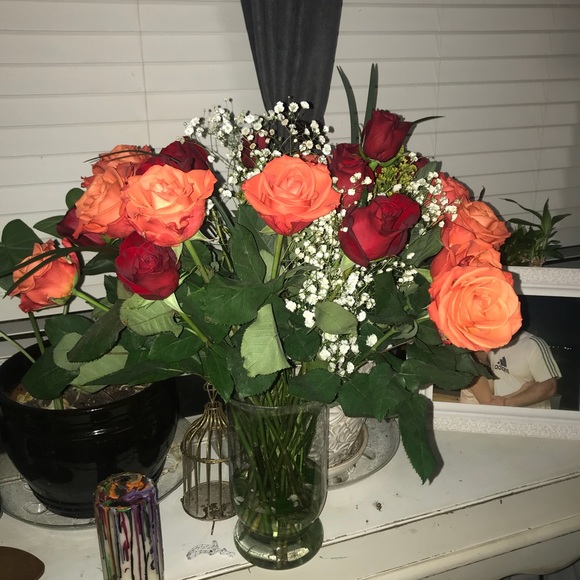 Meet your Posher, Natalya - Picture 1 of 1